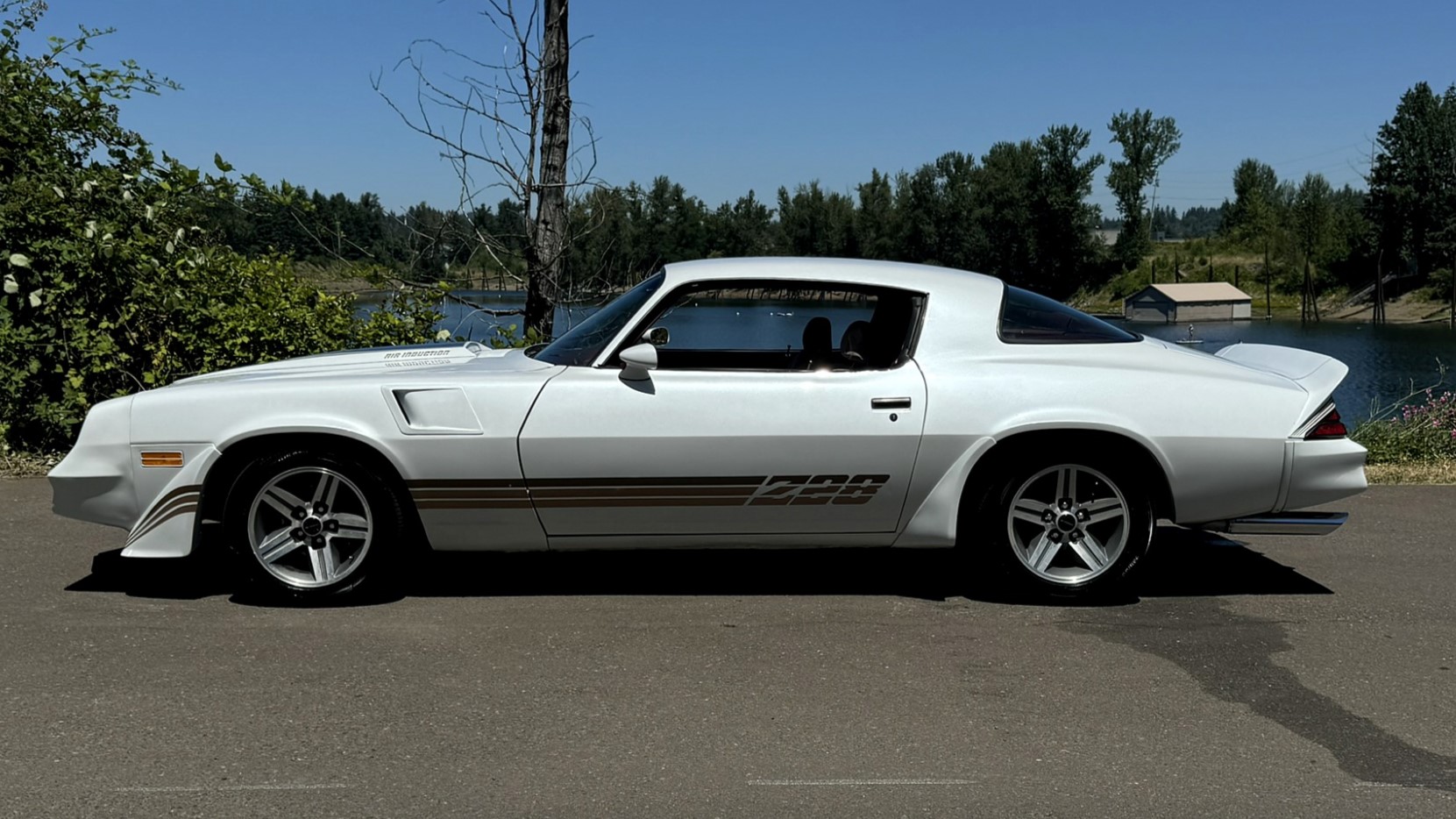 AutoHunter Spotlight: 1981 Chevrolet Camaro Z28 | ClassicCars.com