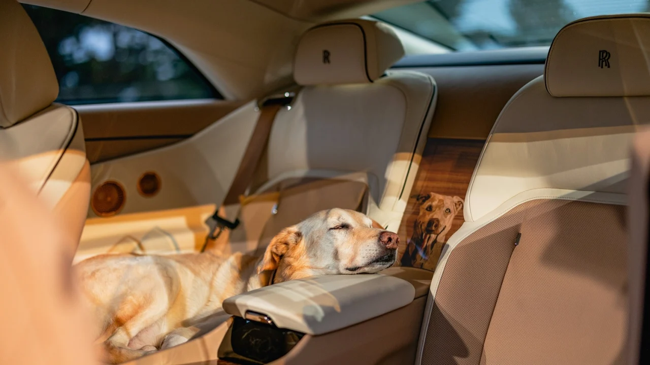 Rolls-Royce Spectre Bailey: Made for a VIP (Very Important Pooch)