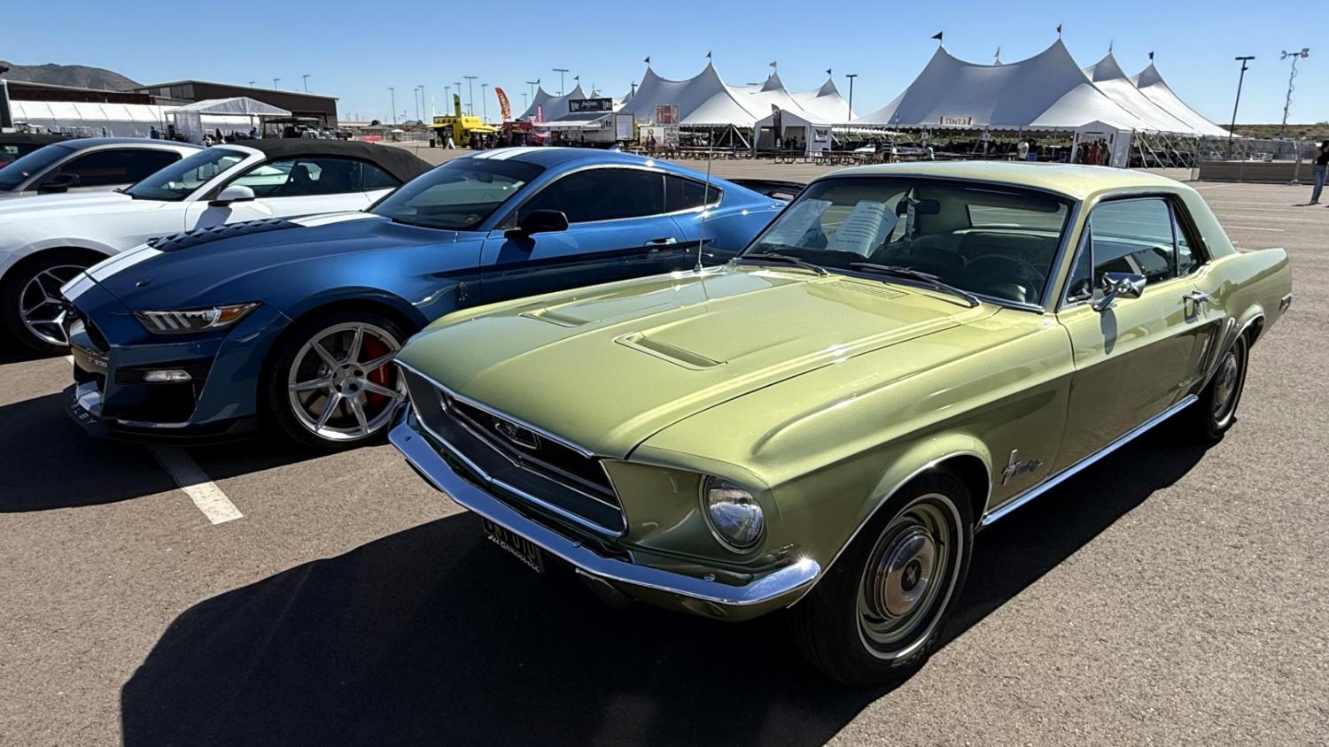 Mustangs Invade Barrett-Jackson at WestWorld!