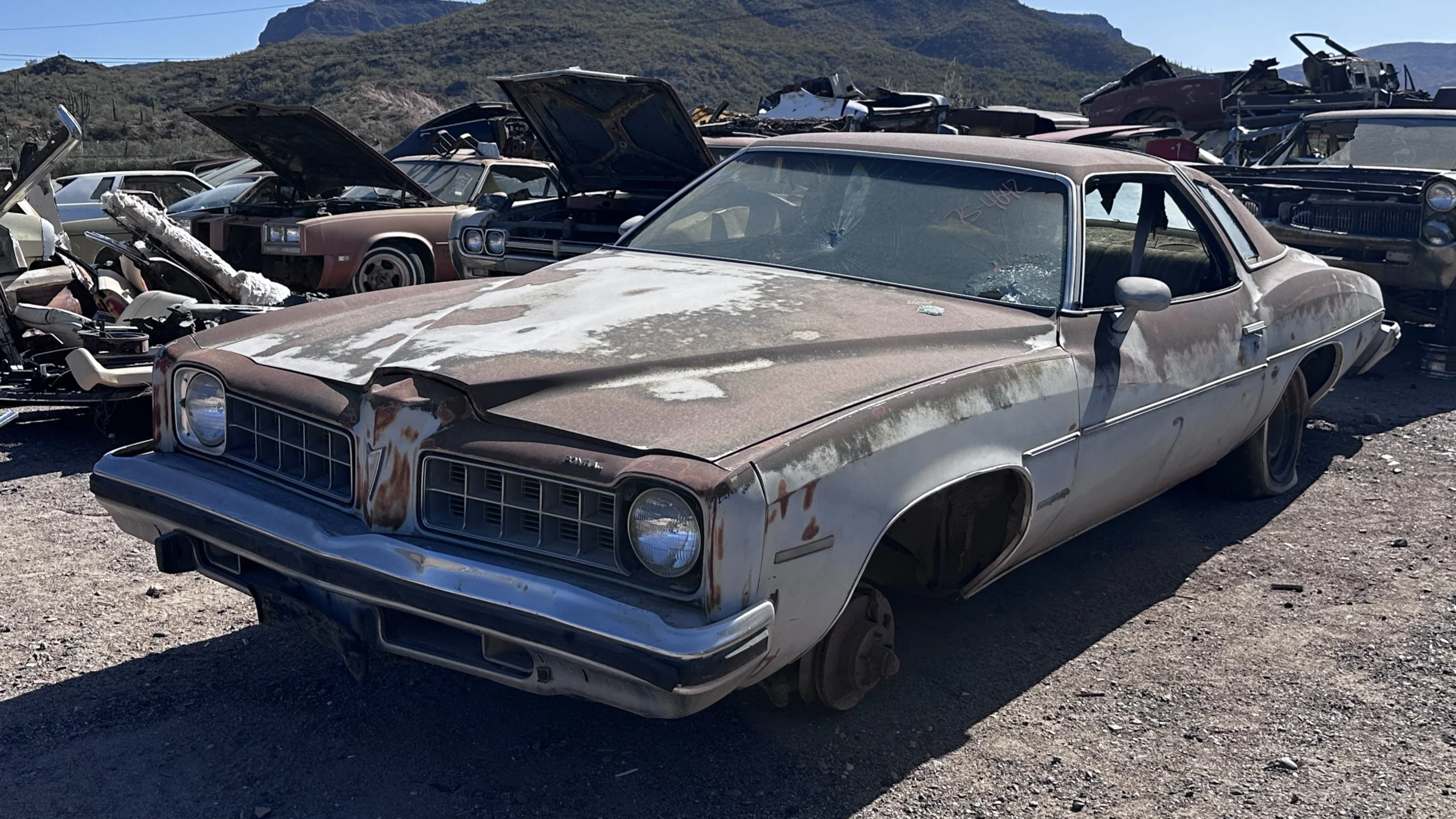 A Nod to the Colonnade: Pontiac’s 1975 LeMans Sport Coupe