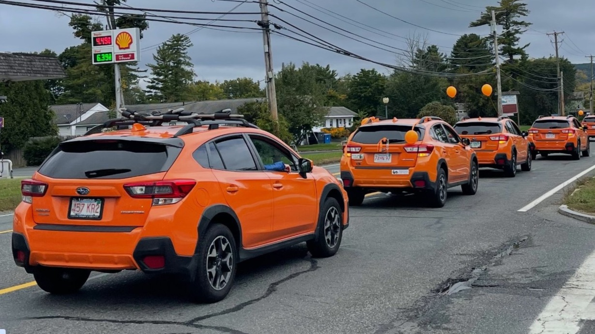 Parade in Massachusetts: Über 80 orangefarbene Subarus